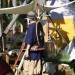 mini-IMG_4897