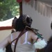 mini-IMG_4898
