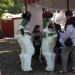 mini-IMG_4901
