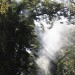 mini-IMG_4908