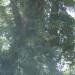 mini-IMG_4910