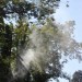 mini-IMG_4913