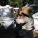 mini-IMG_4941