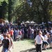 mini-IMG_4973