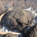 mini-IMG_4983