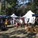 mini-IMG_4993