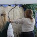 mini-IMG_5037