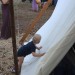 mini-IMG_5049