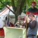 mini-Marchegg_2013_03