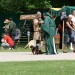 mini-Marchegg_2013_11