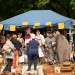 mini-Marchegg_2013_23