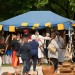 mini-Marchegg_2013_24