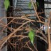 plankenstein13_045
