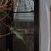plankenstein13_046