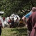 taggerhof13_05