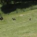 taggerhof13_10