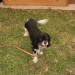 taggerhof13_42
