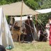 taggerhof13_78