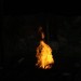 rosenburg_037