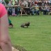 rosenburg_087