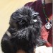 mini-IMG_0687