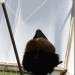 mini-IMG_0690