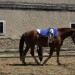 mini-IMG_0695