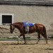mini-IMG_0696