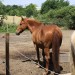 mini-IMG_0697