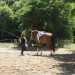 mini-IMG_0703