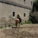 mini-IMG_0704