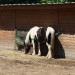 mini-IMG_0707