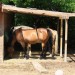mini-IMG_0709