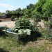 mini-IMG_0711