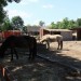 mini-IMG_0720