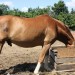 mini-IMG_0729