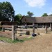 mini-IMG_0735
