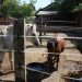 mini-IMG_0744
