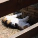 mini-IMG_0748