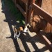mini-IMG_0753