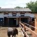 mini-IMG_0756