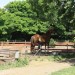 mini-IMG_0759