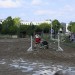mini-IMG_0777