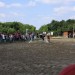 mini-IMG_0779