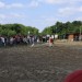 mini-IMG_0780