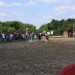 mini-IMG_0781