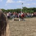 mini-IMG_0782