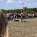 mini-IMG_0783