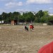mini-IMG_0787