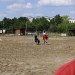 mini-IMG_0788